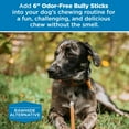 thumbnail image 2 of Best Bully Sticks 6 Inch Odor-Free Bully Sticks - 20 Count (Pack of 1) - Bulk Bag, Odorless 100% Natural Grass-Fed Beef, Easily Digestible, No Grain or Rawhide, Ideal for Big Breeds, 2 of 6