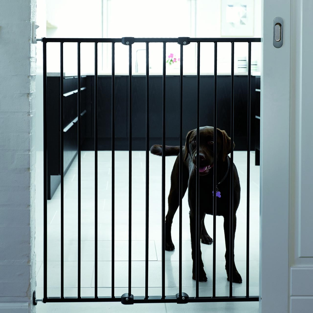 scandinavian pet design gate