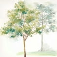 thumbnail image 2 of Coulter, Cynthia 15x15 Gold Ornate Wood Framed with Double Matting Museum Art Print Titled - Woodland Trees IV, 2 of 4