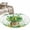 Green Gold, variant on Entryway Rug 2'x3', St. Patrick's Day Small Rug for Kitchen Bathroom Door Mat Indoor Entrance, Spring Botanical Clovers Coin Green Check Non-Slip Area Rugs Floor Mats Carpet Front Door Rugs