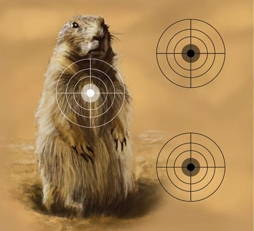 Crosman Air Gun Pellet Trap and Targets. 0.5lbs
