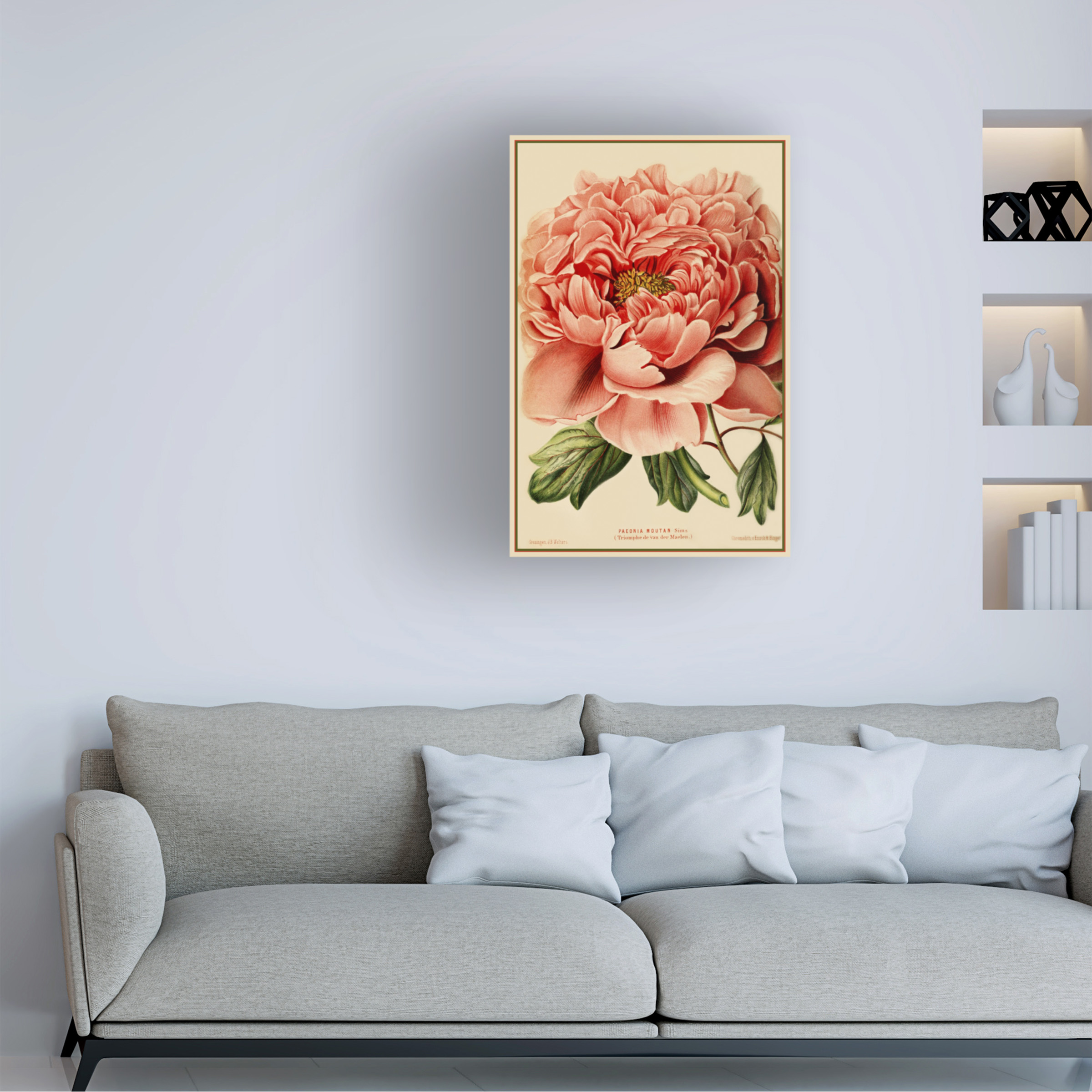 Trademark Fine Art 'Peony' Canvas Art by Vintage Lavoie