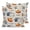 Beige, variant on Pillow Covers 20x20 Set of 2, Fall Blue Pumpkin Square Throw Pillow Covers for Couch/Sofa/Living Room, Thanksgiving Autumn Daisy Pastoral Decorative Soft Pillowcases for Couch Throw Pillows