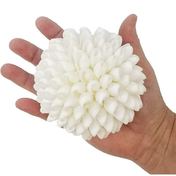 Real White Seashell Sphere with Lucite Stand | 4 Inches Wide | Beach House Shelf