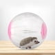 thumbnail image 5 of Pelota de ejercicio para hámster, juguete para mascotas, pelota para correr., 5 of 7