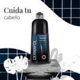 thumbnail image 4 of Shampoo Con Tinte Natural Dermafol Para Cubrir Canas 500ML Castaño, 4 of 10