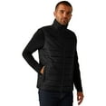 thumbnail image 3 of Regatta Professional Chauffe-Corps Thermique pour Hommes, 3 of 4