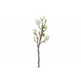 thumbnail image 1 of Magnolia Large Spray White, 1 of 3