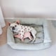 thumbnail image 4 of Soft Sponge Dog Sofa Deerskin Fleece Soft Medium Dog Bed for the Sofa Sleep Bed Pet Bed for a Small Dog Winter Pet Bed Washable ShopWise Round, 4 of 15