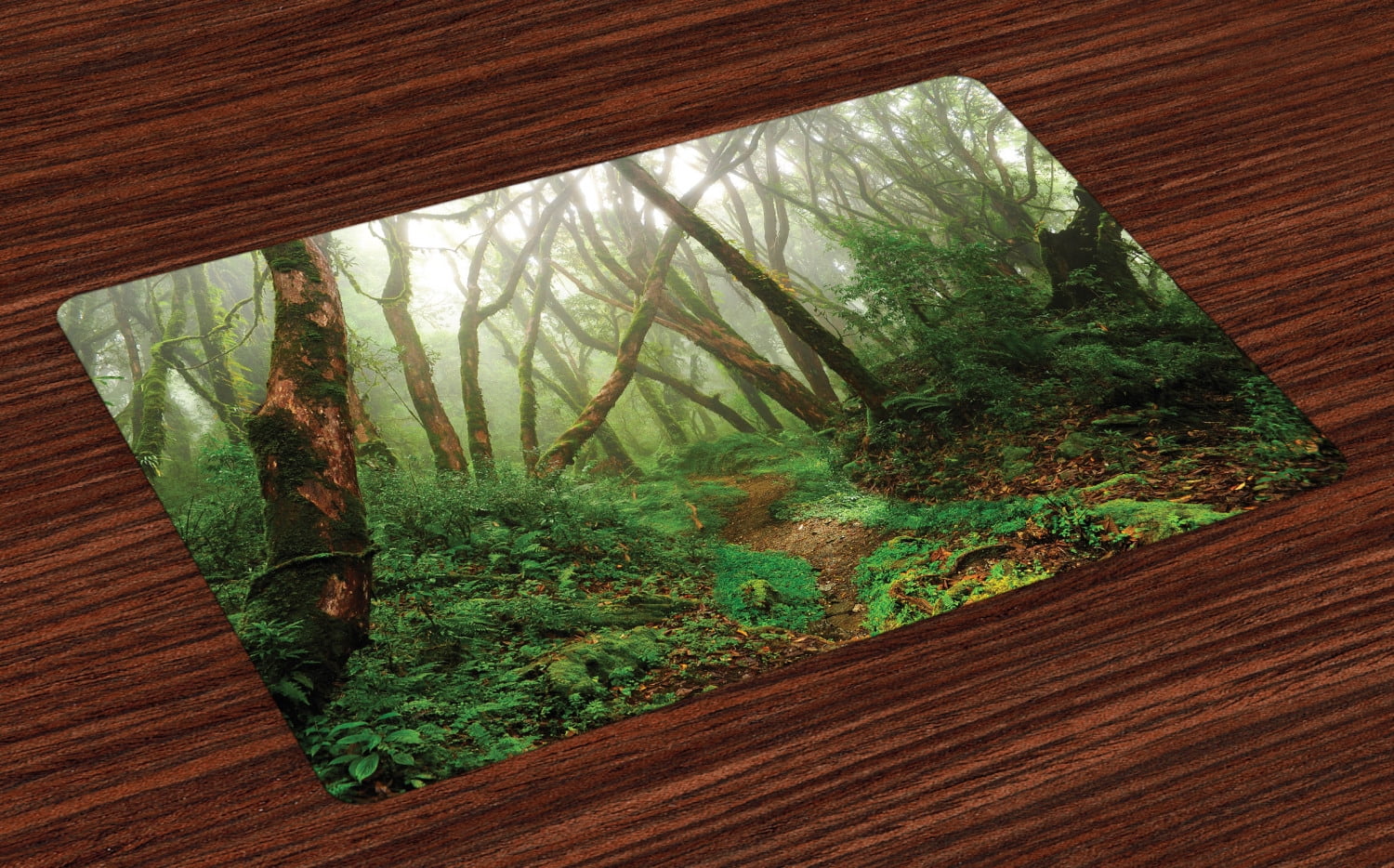 Forest Placemats Set of 4 Spooky Tropical Exotic Fog Jungle in