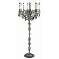 thumbnail image 1 of Elegant Lighting Rosalia 62" 8 Light Elements Crystal Floor Lamp, 1 of 1