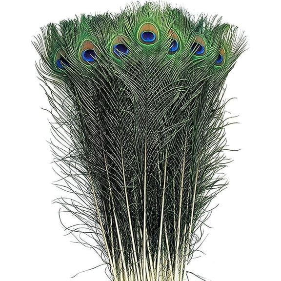 Piokio 30 pcs Peacock Feathers in Bulk 20-23inch(50-60 cm) Bulk for DIY Craft, Wedding, Halloween Decoration