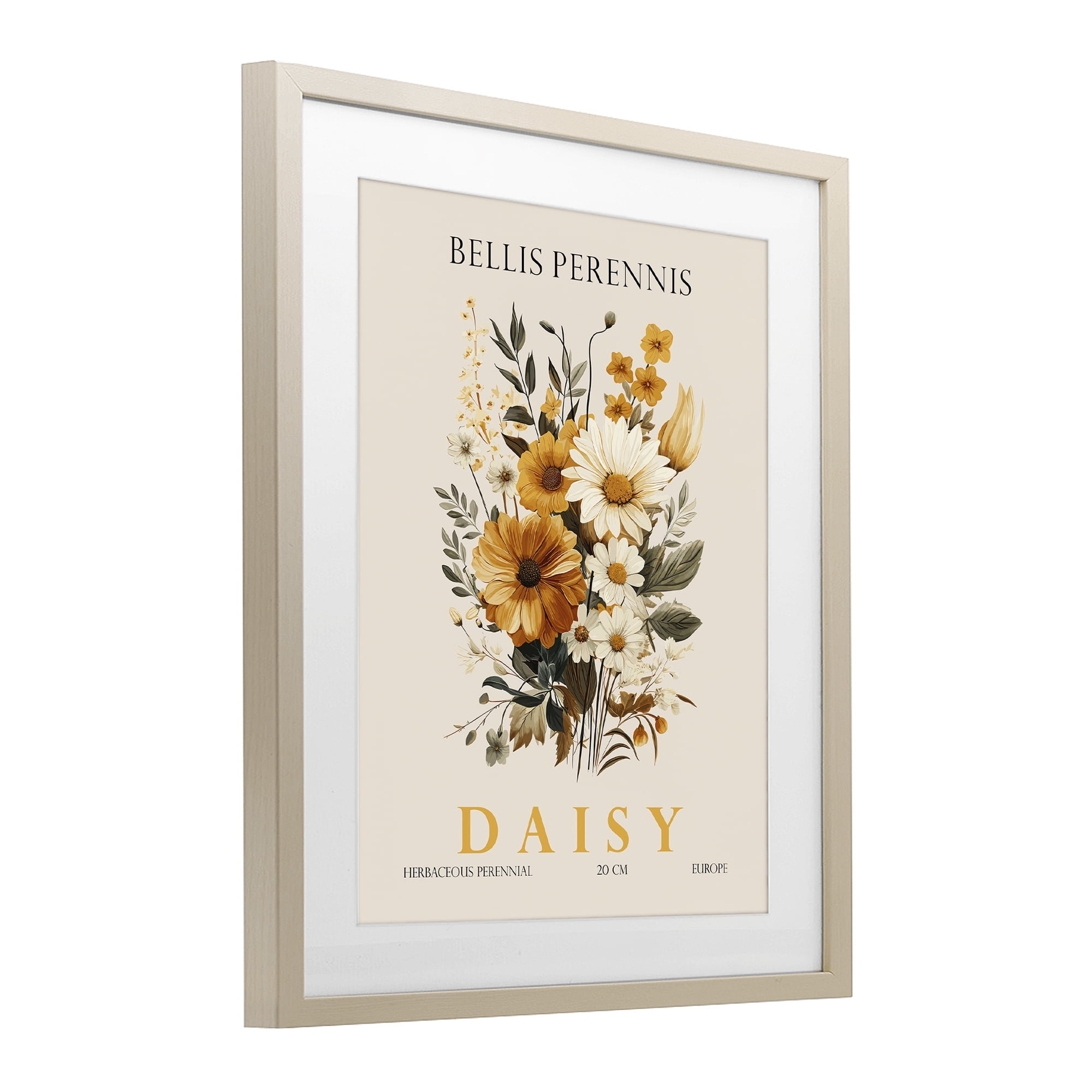 Stupell Industries Nature Daisy Bundle Birch Framed Print Under Glass, design by Christopher Giampietro