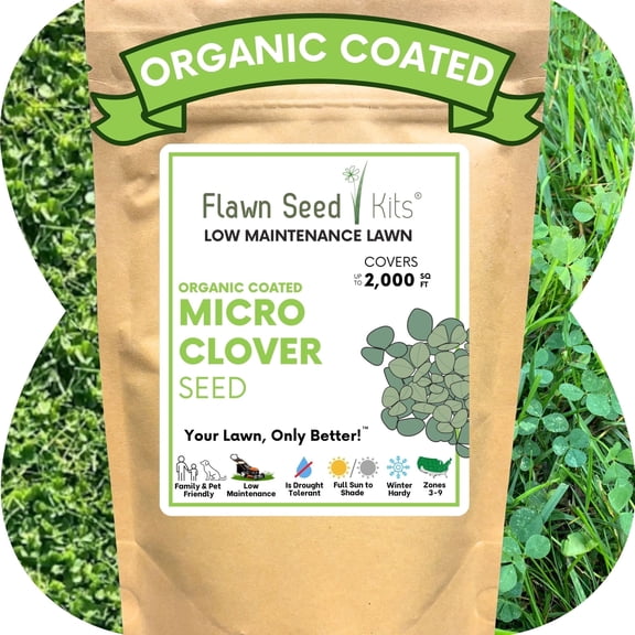 Flawn 2000 Sqft Micro Clover Seed Flower Seeds, Perennial Ground Cover
