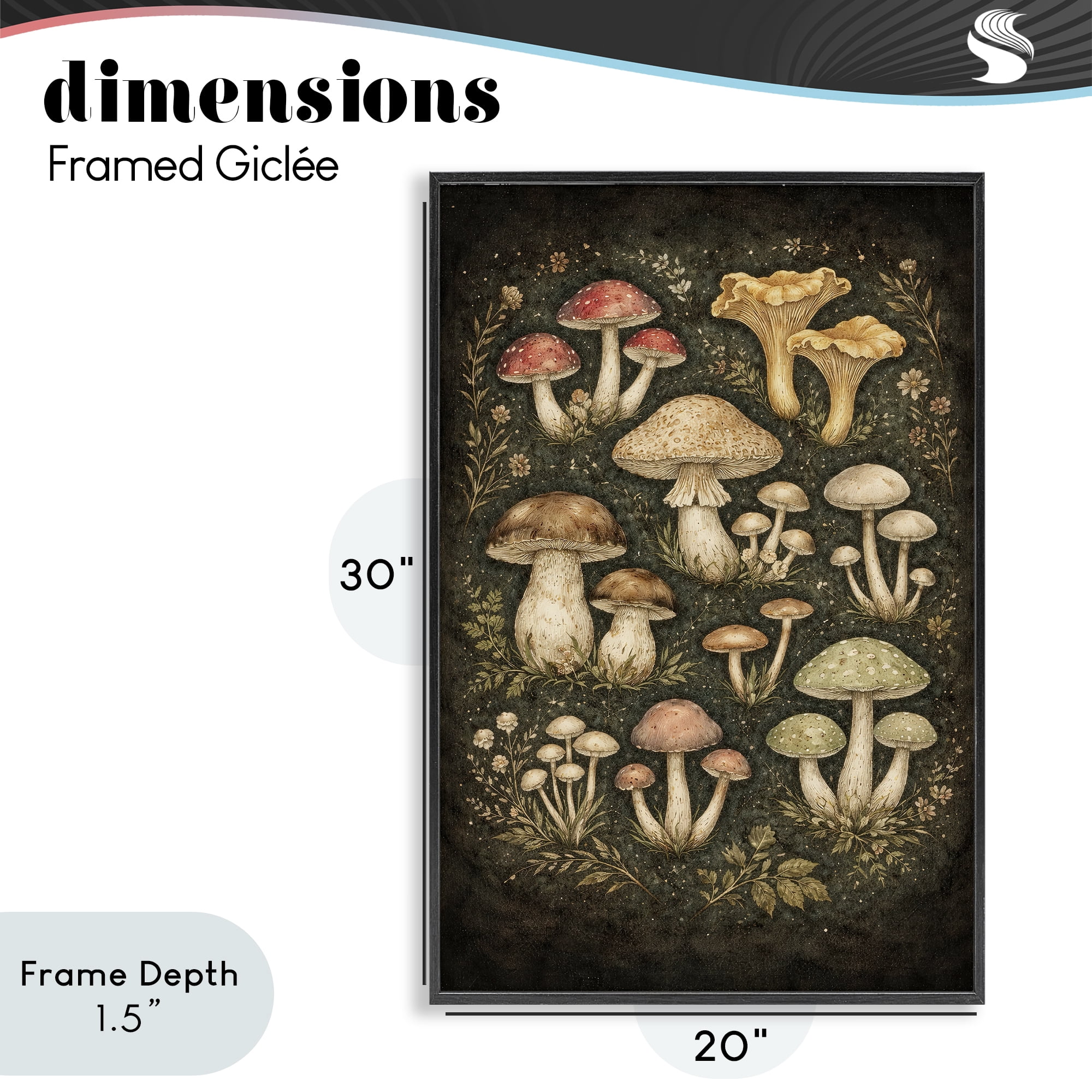 Stupell Industries Organic Sprouting Mushrooms Black Framed Giclee Art, design by Tom Crehan