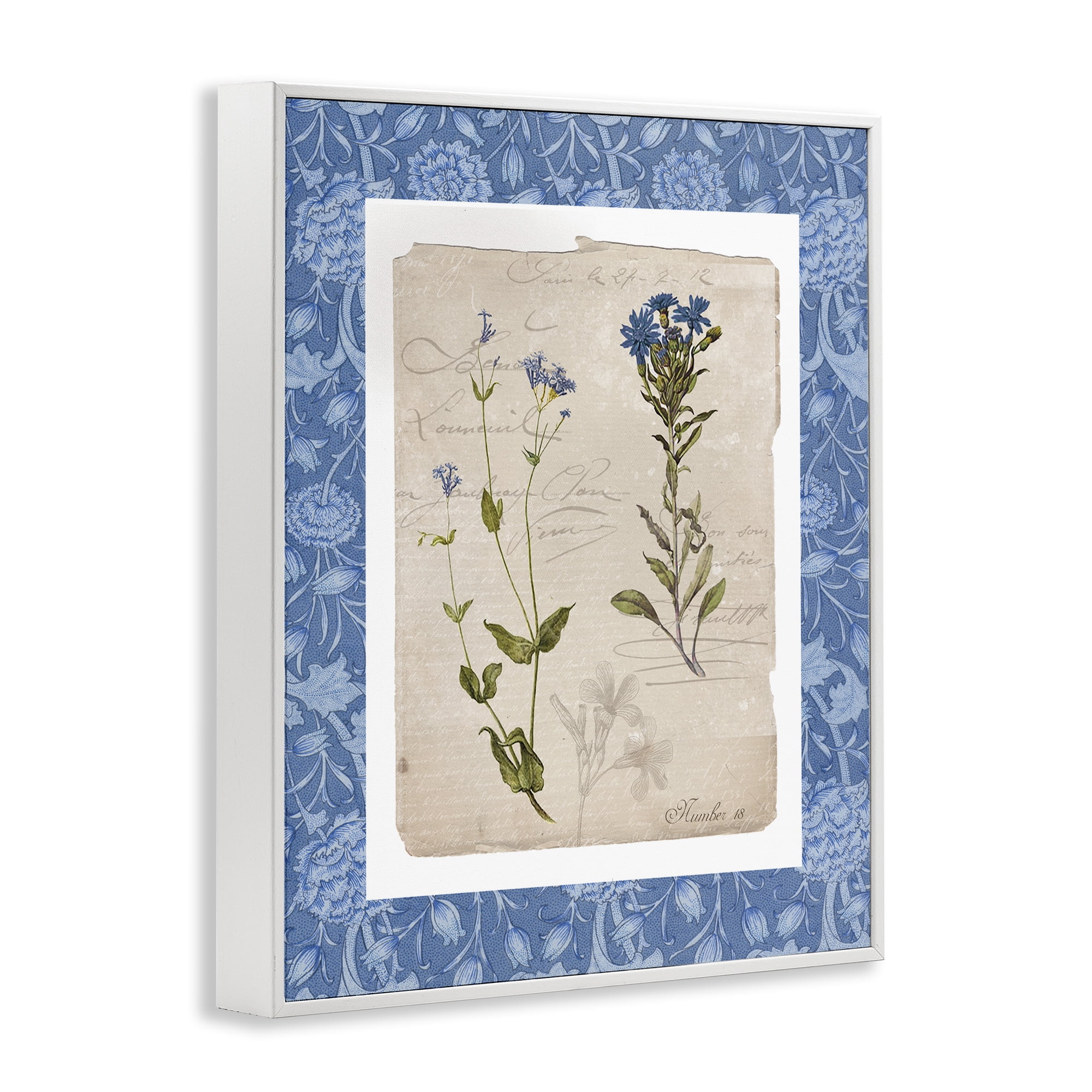 Stupell Industries Blue Vintage Botanicals White Framed Giclee Art, design by Livi Finn