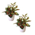 thumbnail image 2 of RotHome 8.6" Small Artificial Perilla Plant Indoor Fake Potted Plant Faux House Greenery in White Pot Artificial Plants for Farmhouse Home Office Bathroom Living Room Table Shelf Decor 2Pc, 2 of 7