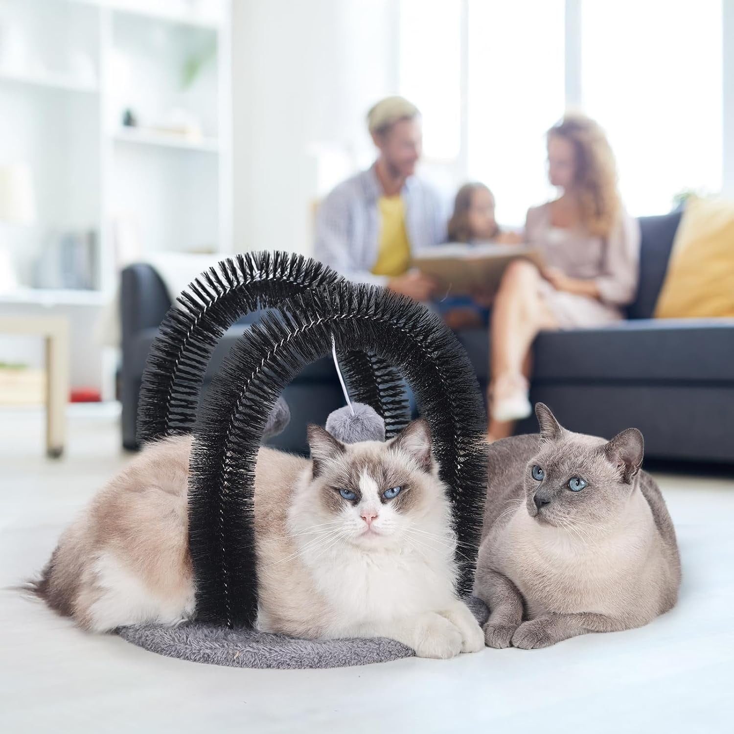 Cat Arch Self Groomer Cat Massager, Cat Grooming Brush with 2 Brushes and Heavy Plush Base, Cat Face and Back Scratchers, Cat Scratchers for Indoor Cats with 2 Toy Plush Balls, Cat Rubbing Post