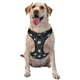 thumbnail image 1 of Fotbe Turtle Arnés para Perro con Estampado –Chaleco Ajustable Acolchado con Asa de Control para Perros Grandes-Medium, 1 of 6