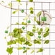 thumbnail image 5 of 100 piezas de soporte para plantas, 3 tamaños, fijador de plantas trepadoras de pared, gancho autoadhesivo, soporte para enredaderas, clip de sujeción invisible para pared, clip de sujeción para vege, 5 of 5
