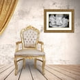 thumbnail image 3 of Schell, Jennie Marie 18x13 Gold Ornate Wood Framed with Double Matting Museum Art Print Titled - Tulip Flower Macro Black and White 4, 3 of 4