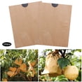 thumbnail image 2 of 100 piezas/vendido Especificaciones: capa única plana exterior amarillo interior negro 160x190 mm Papel de pulpa de madera ensacado universal de frutas Material: pulpa tamaño ANGGREK Otros, 2 of 8