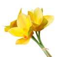 thumbnail image 4 of Flor de orquídea artificial banquete de boda falso orquídea mesa centro de mesa flor de tela de seda, amarillo 4 Piezas Noticed HA6707-04B, 4 of 6