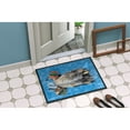 thumbnail image 2 of Teal Duck Doormat 24x36, 2 of 4