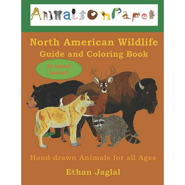 Download Wildlife Coloring Books Hand Drawn Animals For All Ages North American Wildlife Guide And Coloring Book Hand Drawn Animals For All Ages Series 2 Paperback Walmart Com Walmart Com