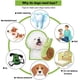 thumbnail image 1 of Snuffle Mat Dog Toy, Snuffle Mat, Dog Scavenging Mat, Dog Snuff Toy, Dog Trainer Mat, Training Decompression Dog Toys, Para Forrajeo, Relajación, 1 Pieza, Verde-Marrón ShuxiuWang 8390605534263, 1 of 1