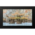 thumbnail image 2 of Head, Danny 14x10 Black Modern Framed Museum Art Print Titled - Bayou Colors, 2 of 5
