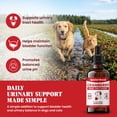thumbnail image 4 of Cranberry Supplement for Dogs - Cranberry Extract for Dogs - Urinary Tract and Bladder Support - Kidney and Urine pH Support - Liquid Drops for Dogs and Cats - Bacon Flavor - 2 oz, 4 of 6