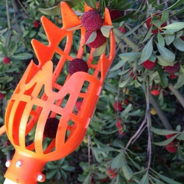 Herramienta de jardín recolector de frutas, dispositivo de recolección de frutas para jardinería (naranja)