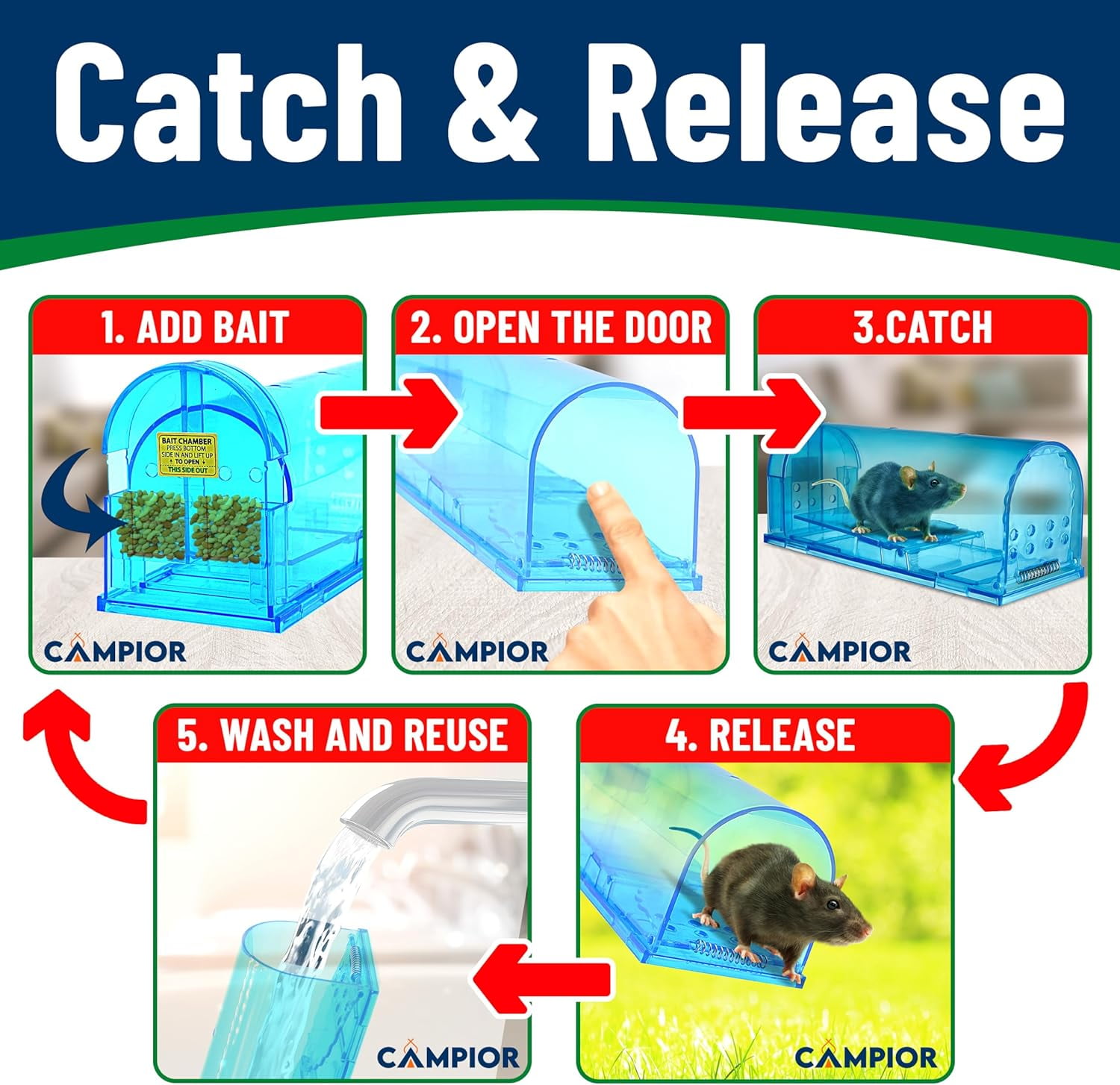 Campior Humane No-Kill Mouse Trap, Large, Indoor, Child & Pet Safe, Easy to Clean, 6-Pack, Blue