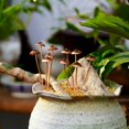 thumbnail image 4 of GLFILL Mushroom Ground Decoration With Mushroom Metal Flower Pots And Ground Inserts, 4 of 9