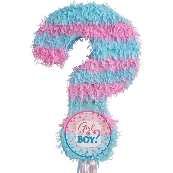 Party City Girl or Boy Gender Reveal Pull String Pinata, blue and pink, 22" x 14 1/2"