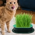 thumbnail image 3 of Miangastore 5Pcs Household Cat Grass Planter Practical Cat Grass Box Creative Cat Plant Nursery Planting Box, 3 of 9