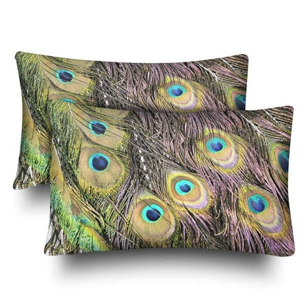 Gckg Animal Peacock Feather Pillow Cases Pillowcase 20x30