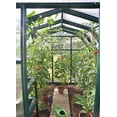 thumbnail image 2 of Palram - Canopia EcoGrow 6' x 10' Twin-Wall Walk-In Greenhouse - Green - with Roof Vent, 2 of 9