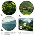 thumbnail image 3 of Designart "Tea Plantation in Thailand" Landscapes Floater Framed Wall Art Print, 3 of 7