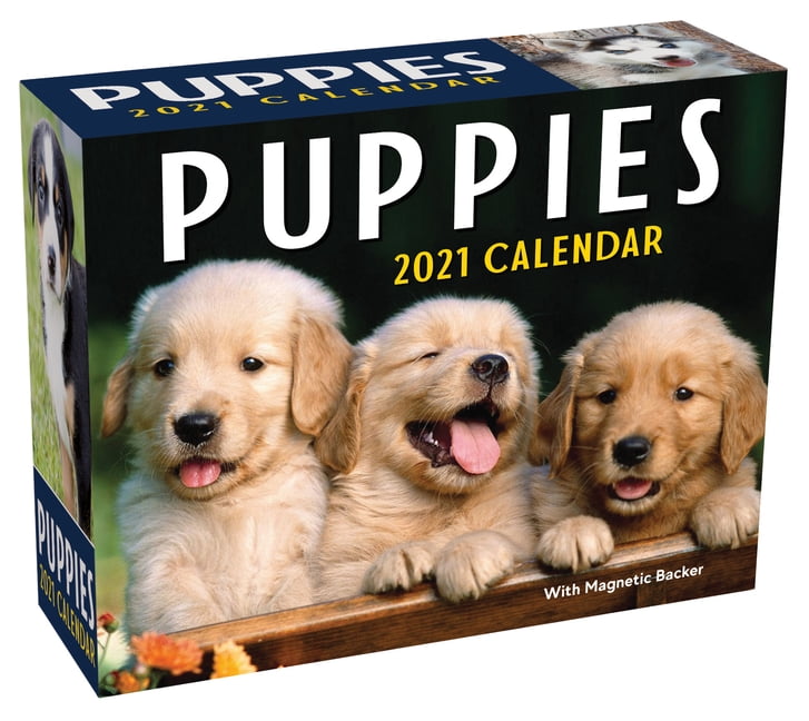 Puppies 2021 Mini DayToDay Calendar (Other)