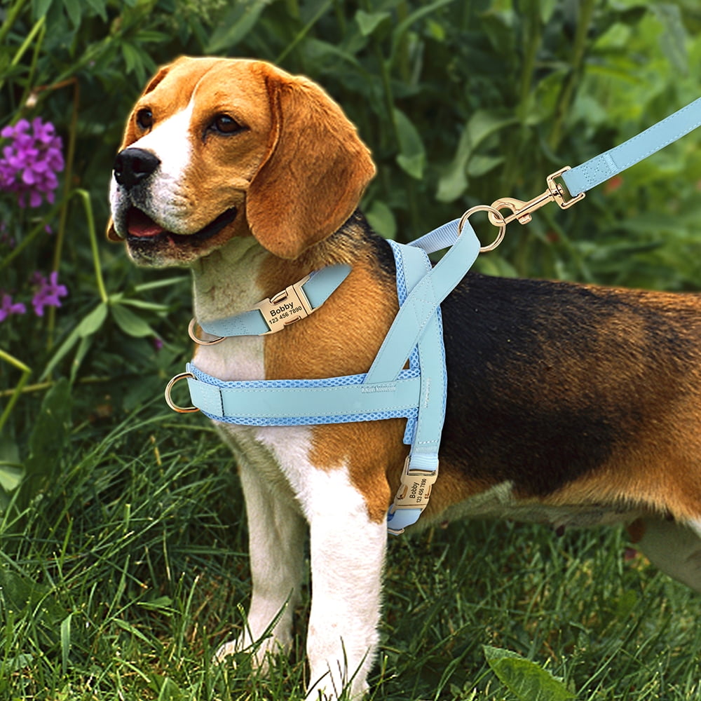 Pet Artist 3pcs Personalized Dog Harness & Collar & Leash set Metal ID Name Metal Buckle Mesh Padded Adjustable