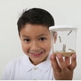 thumbnail image 2 of Insect Lore Mini Butterfly Garden® Gift Set With Live Caterpillars, 2 of 11