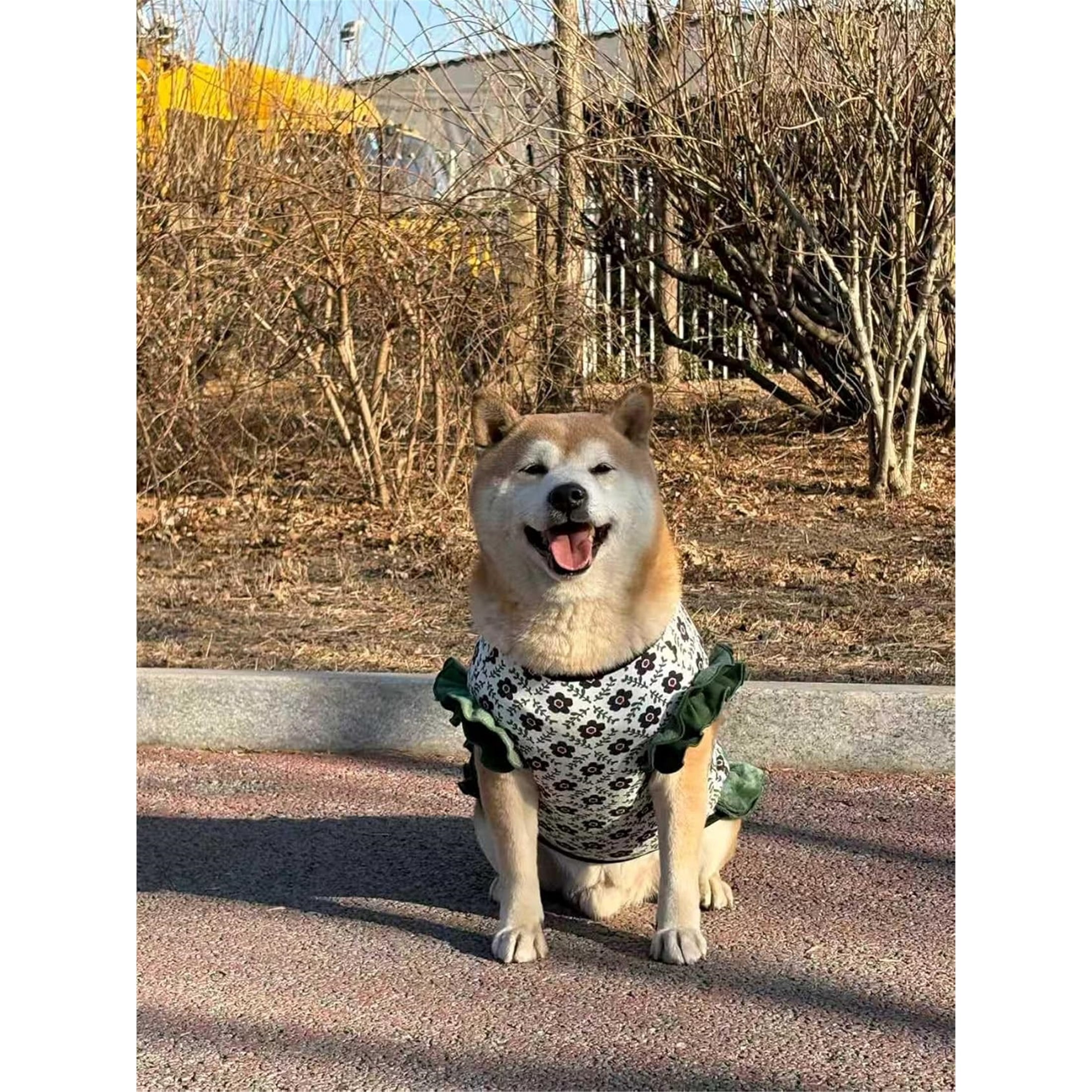 UOSIA Large Dog Dresses Clothes Girl Floral Princess Lace Tutu Dress Pet Pullover Vest Outfits for Wedding Birthday