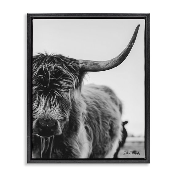 Stupell Industries Rustic Lodge Highland Cow Cattle Horn Close Up Serene Photography Black Floating Frame Canvas Art, 17 x 21, by Dakota Diener