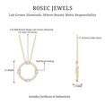 thumbnail image 6 of Rosec Jewels Lab Grown Diamond Eternity Circle Necklace for Women - EF-VS Quality Certified with Jewelry Box, 14K Yellow Gold, 6 of 7