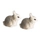thumbnail image 1 of Juguete de acción modelo animal Conejo gris Sunnimix Figuras de acción, 1 of 8
