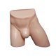 thumbnail image 1 of Soporte para ropa interior masculina Accesorios de ropa Atrezzo Exhibición Maniquí de cadera Cuerpo para Piel, 1 of 9