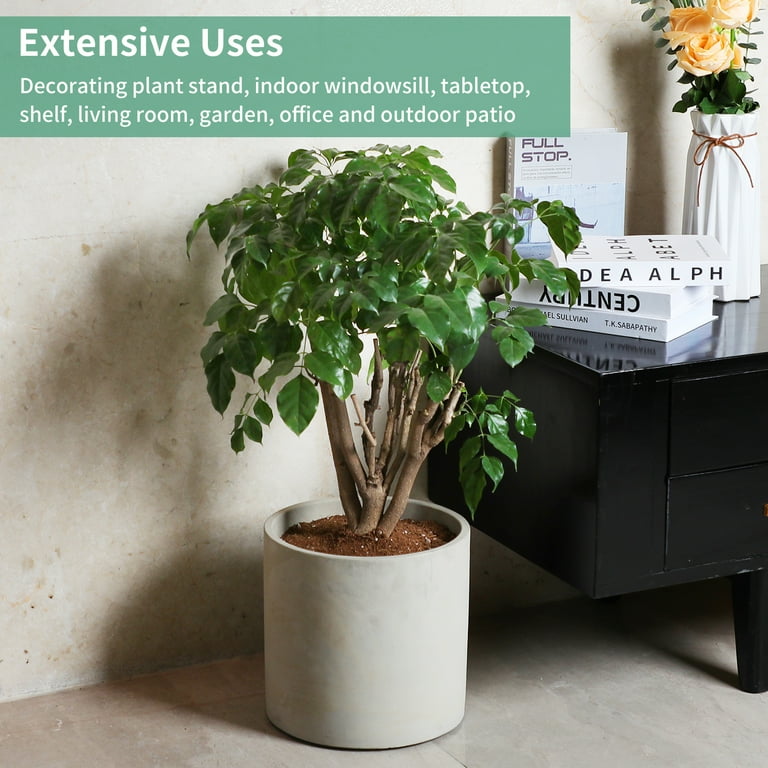 Mozing Large Indoor 12x12 inch Breathable Cement Planter Pot