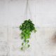 thumbnail image 4 of ADDHAT Indoor White Hanging Planter Basket with Self Watering Feature Durable Plastic Material, 4 of 7